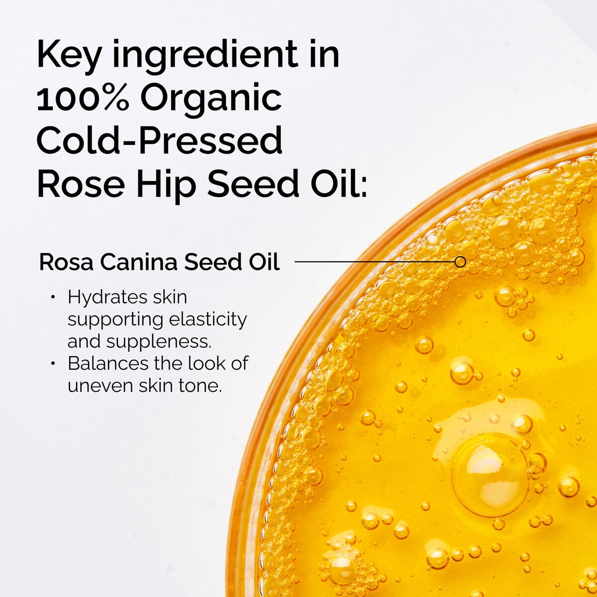 100-organic-cold-pressed-rose-hip-seed-oil-d2 FY25-D41247-ORD-Web-PDP-100-Rose-Hip-Oil-1x1-EN-2.jpg