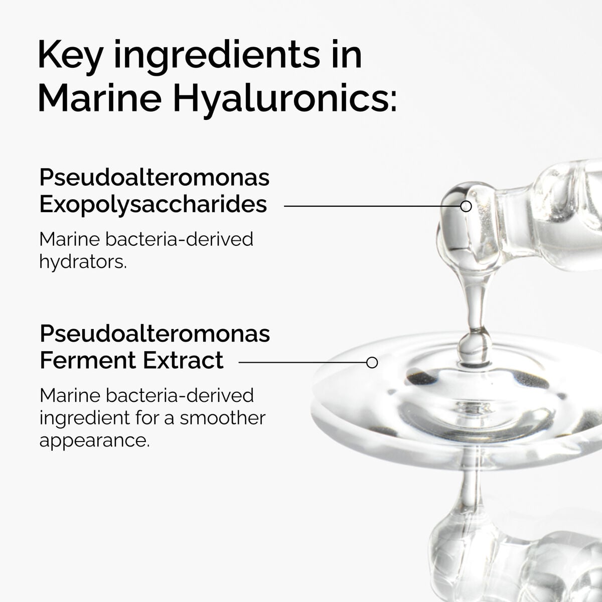 marine-hyaluronics-n1 FY25-D41247-ORD-Web-PDP-Marine-Hya-1x1-EN-2a.jpg