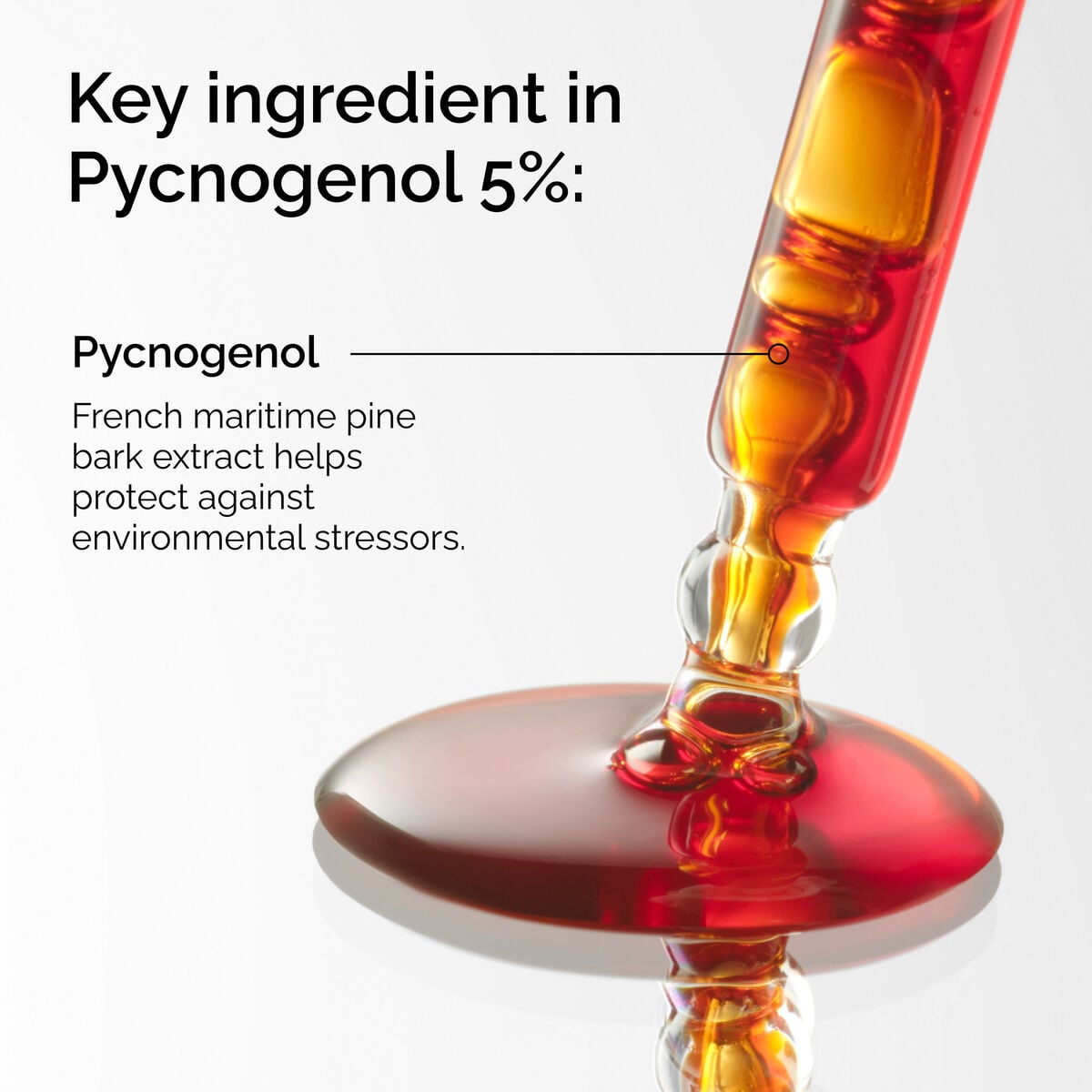 pycnogenol-5-k6 FY25-D41247-ORD-Web-PDP-Pyc-5pct-1x1-EN-2a.jpg