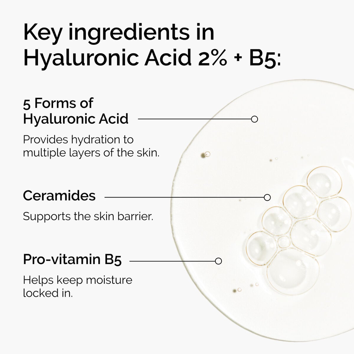 hyaluronic-acid-2-b5-with-ceramides-a8 ord-hyaluronic-acid-2pct-b5-hydrating-serum-ingredients-graphic.jpg